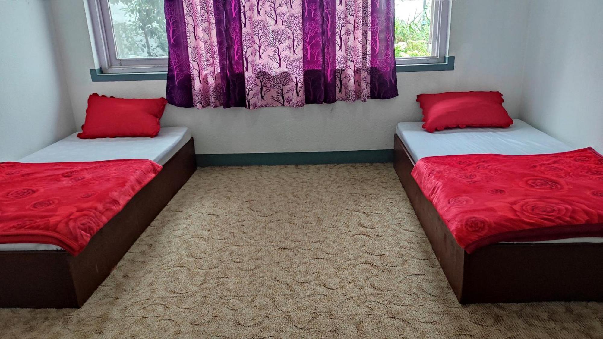 Budget Backpackers Hotel ラリトプル エクステリア 写真