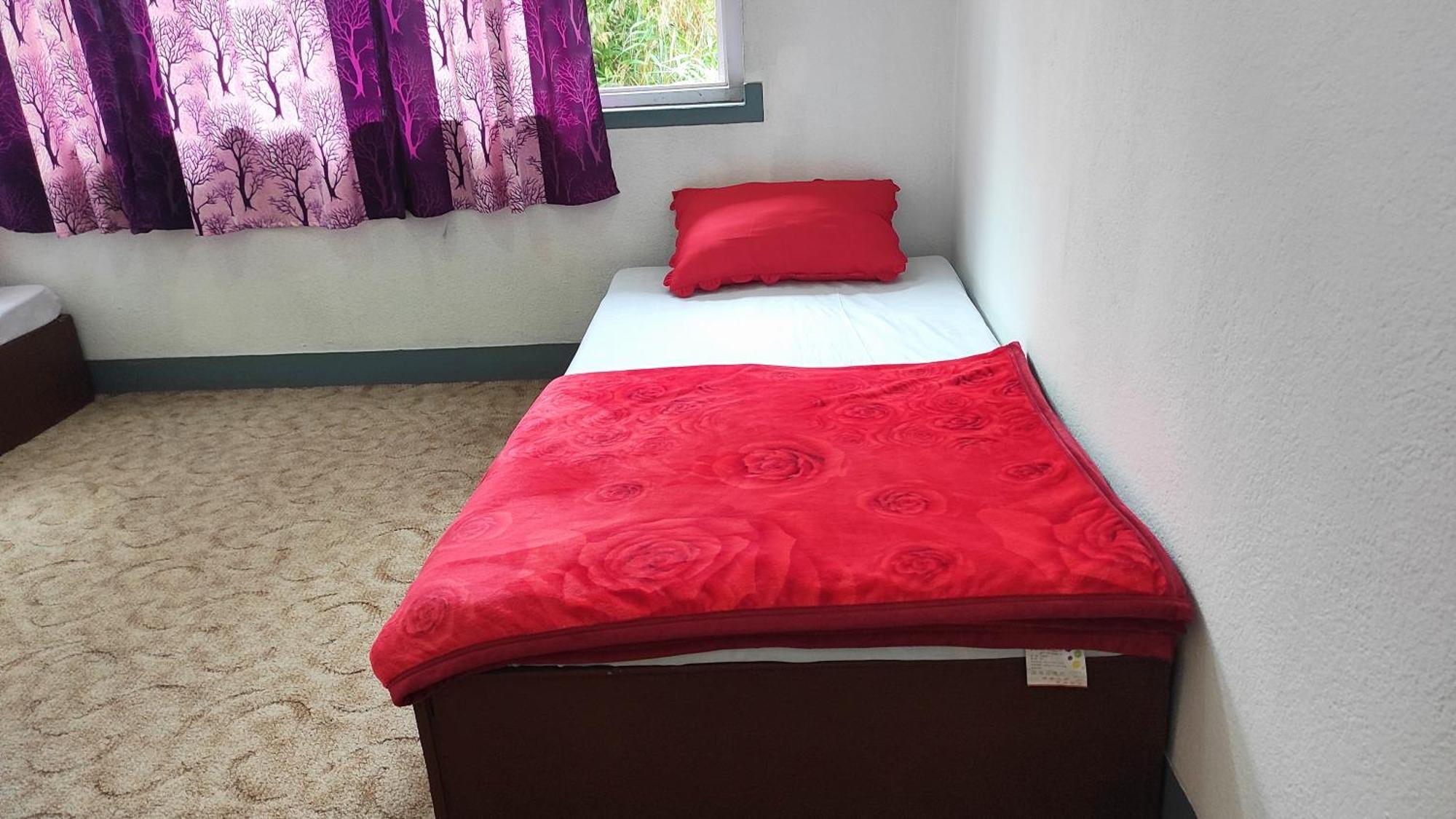 Budget Backpackers Hotel ラリトプル エクステリア 写真