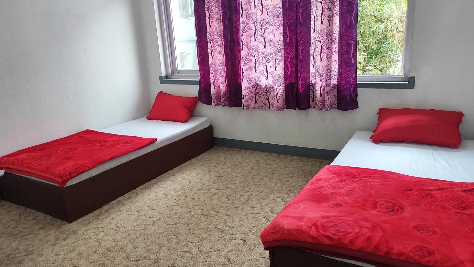 Budget Backpackers Hotel ラリトプル エクステリア 写真